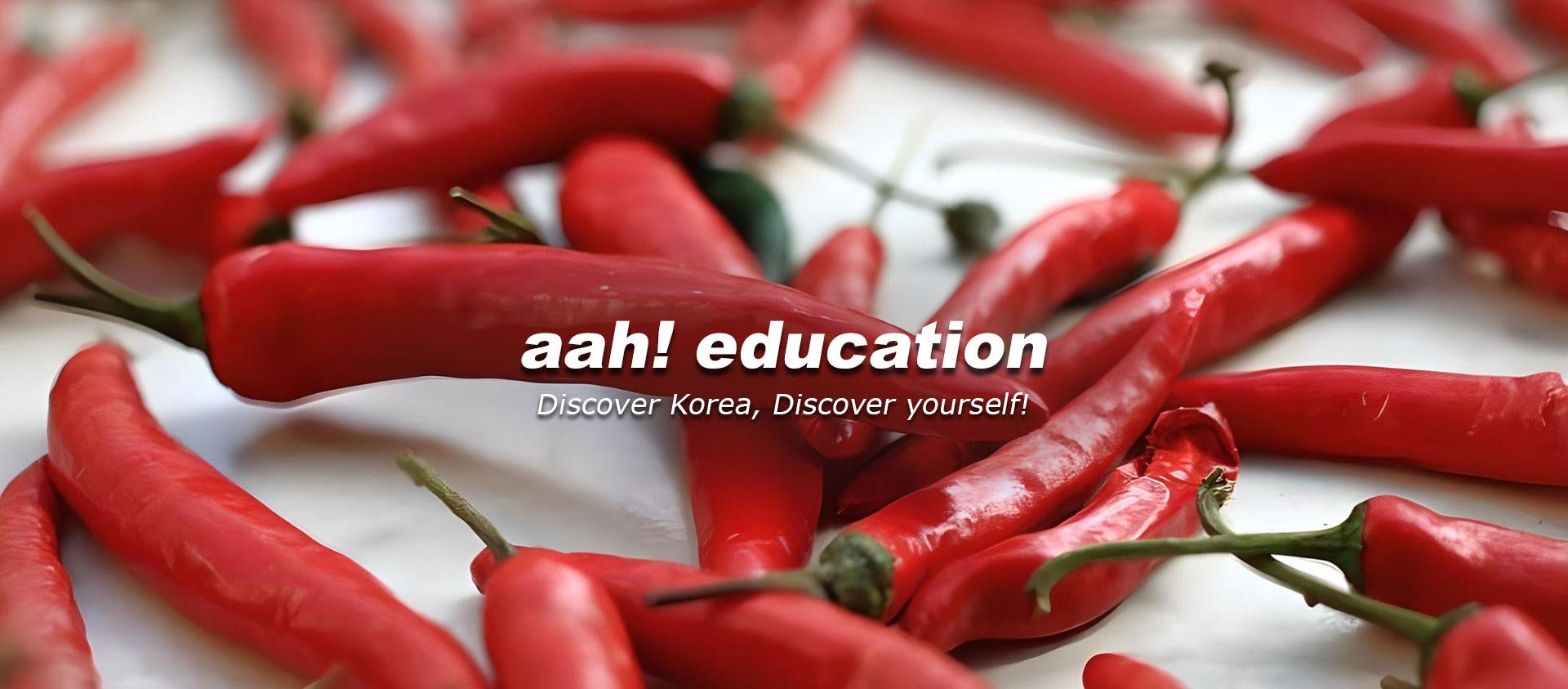 Your journey to study in Korea starts with us!